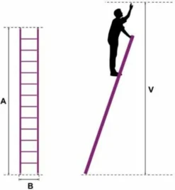 FORTENA Anlegeleiter Mit 7 Sprossen – Profi-Leiter Aus Aluminium, 191 Cm Lang, Bis Zu 150 Kg Belastung, Arbeitshöhe Ca. 279 Cm, Ideal Zum Anstellen -Vidailo Verkaufe 1a1105006775be2edaf428c15cd28b9c