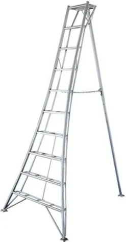 Leiter / Niwaki 3-Holm Gartenleiter 300 Aluminium 147x307cm