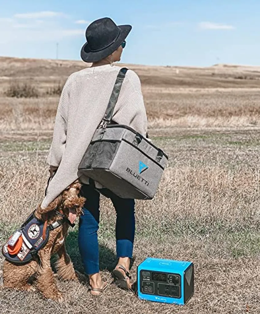 BLUETTI Tragetasche Für EB3A EB70 EB55 AC50S Portable Powerstation Solar Generator, Grau (EB3A EB70 EB55 AC50S Nicht Im Lieferumfang Enthalten) 5 BLUETTI Tragetasche Für EB3A EB70 EB55 AC50S Portable Powerstation Solar Generator, Grau (EB3A EB70 EB55 AC50S Nicht Im Lieferumfang Enthalten) – Bild 3